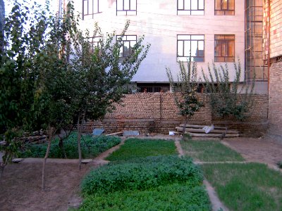 Small garden of Vegetables - Nishapur 5