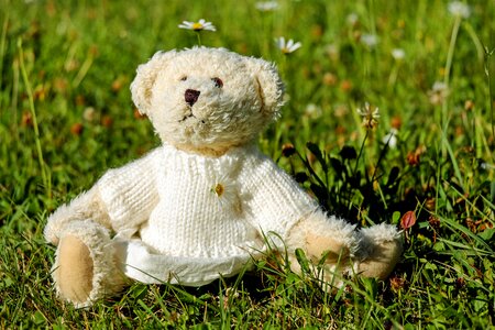 Cute teddy bear meadow