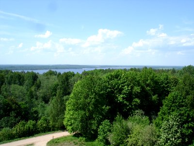 Skats no ormankalna