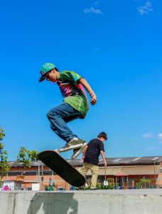 Skate (89897845)