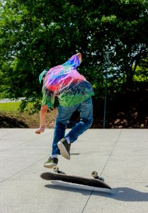 Skate (89863515)
