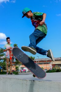 Skate (89863523)