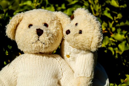 Pair toys cute