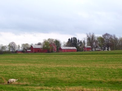 Small farm upstate NY