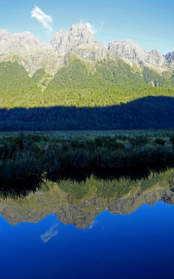 New zealand mirror blue