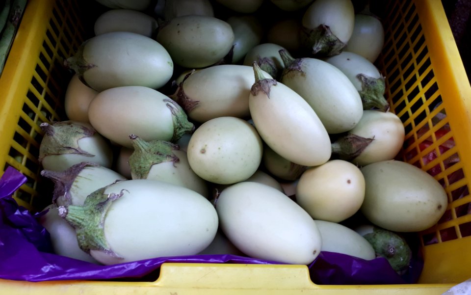 Small light-green eggplants 2017