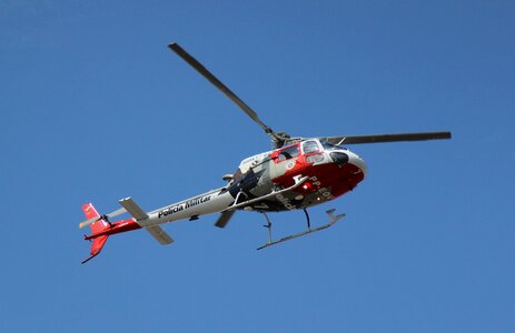 Authorities flight celebration
