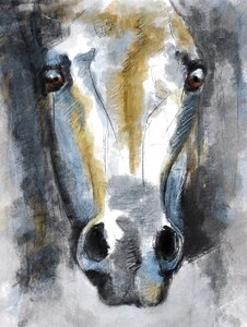Animal horsehead portrait