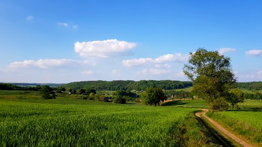Slenaken-Groote Bosch (5)