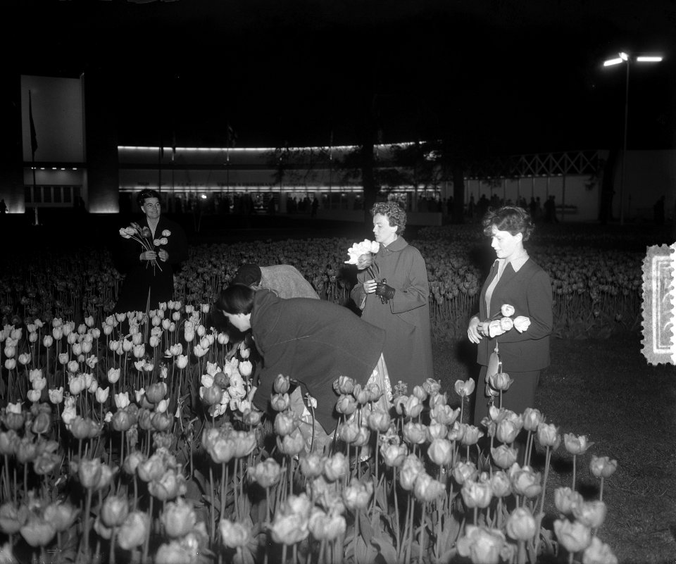Sluiting Florabloemententoonstelling. Gratis bloemen plukken, Bestanddeelnr 905-7327