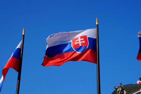 Slovak Flag (Option 3 of 4) photo