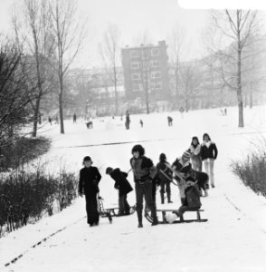 Sleetje rijden, Bestanddeelnr 926-8627