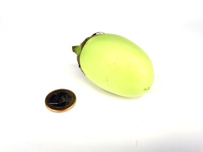Small light-green eggplant 2017 B photo