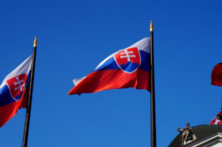 Slovak Flag (Option 2 of 4) photo