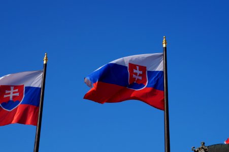 Slovak Flag (Option 4 of 4) photo