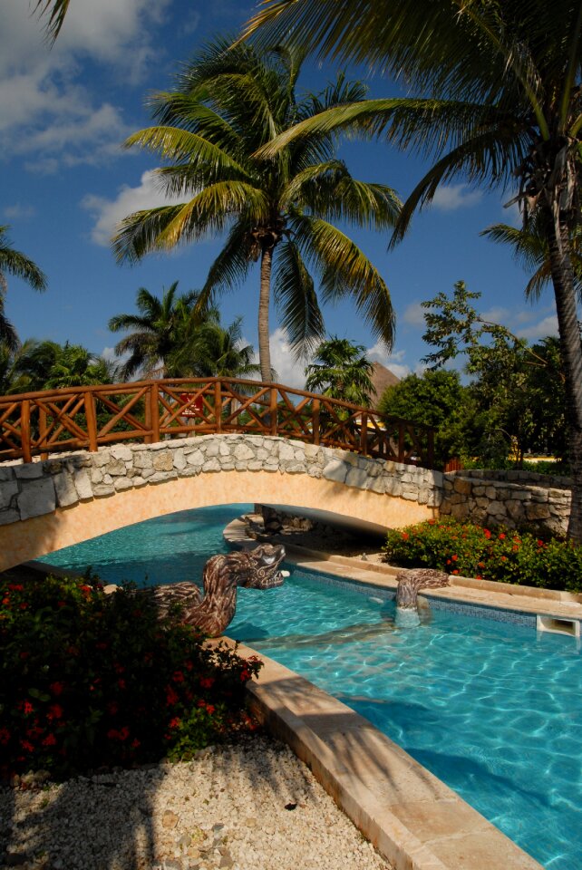 Pool pool area caribbean