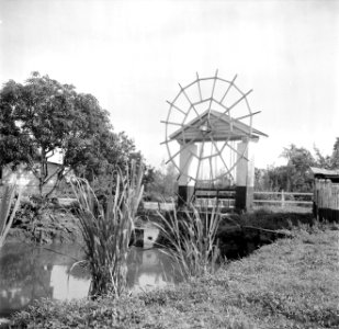 Sluis op de plantage Mariënburg in het Commewijnegebied in Suriname, Bestanddeelnr 252-6506