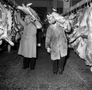 Slagers dragen halve varkens bij de slachtlijn van de vleeshallen in het deel wa, Bestanddeelnr 252-9061