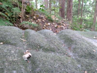 Slenaken-Slijpsteen (03)