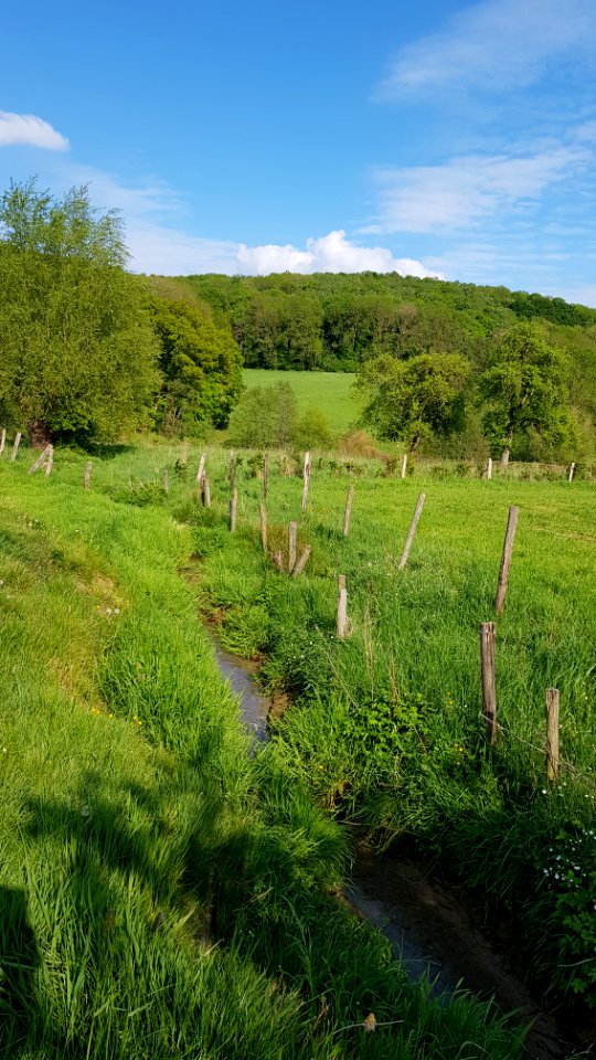 Slenaken-Hondsbohn