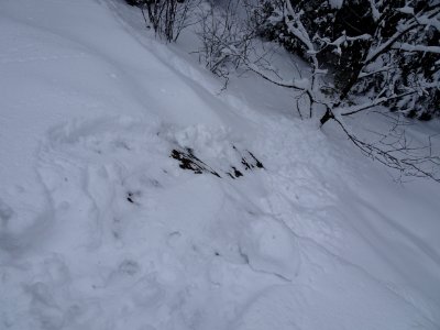 Slide path down steep mountain rock 4