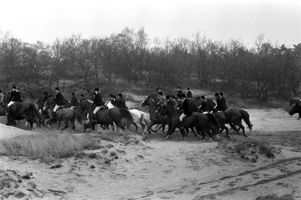 Slipjacht van St Hubertus (paardensport) in bossen Udenhout, honden voor begin , Bestanddeelnr 925-1616