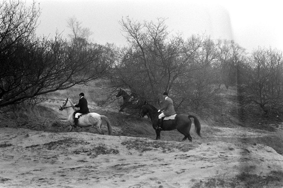 Slipjacht van St Hubertus (paardensport) in bossen Udenhout, honden voor begin , Bestanddeelnr 925-1618