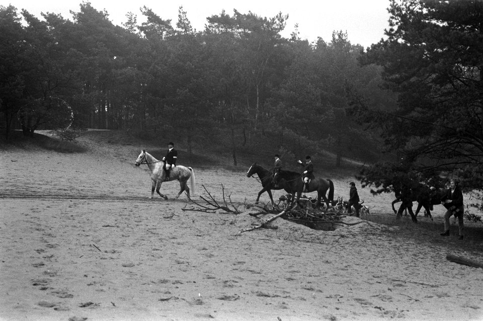 Slipjacht van St Hubertus (paardensport) in bossen Udenhout, honden voor begin , Bestanddeelnr 925-1631