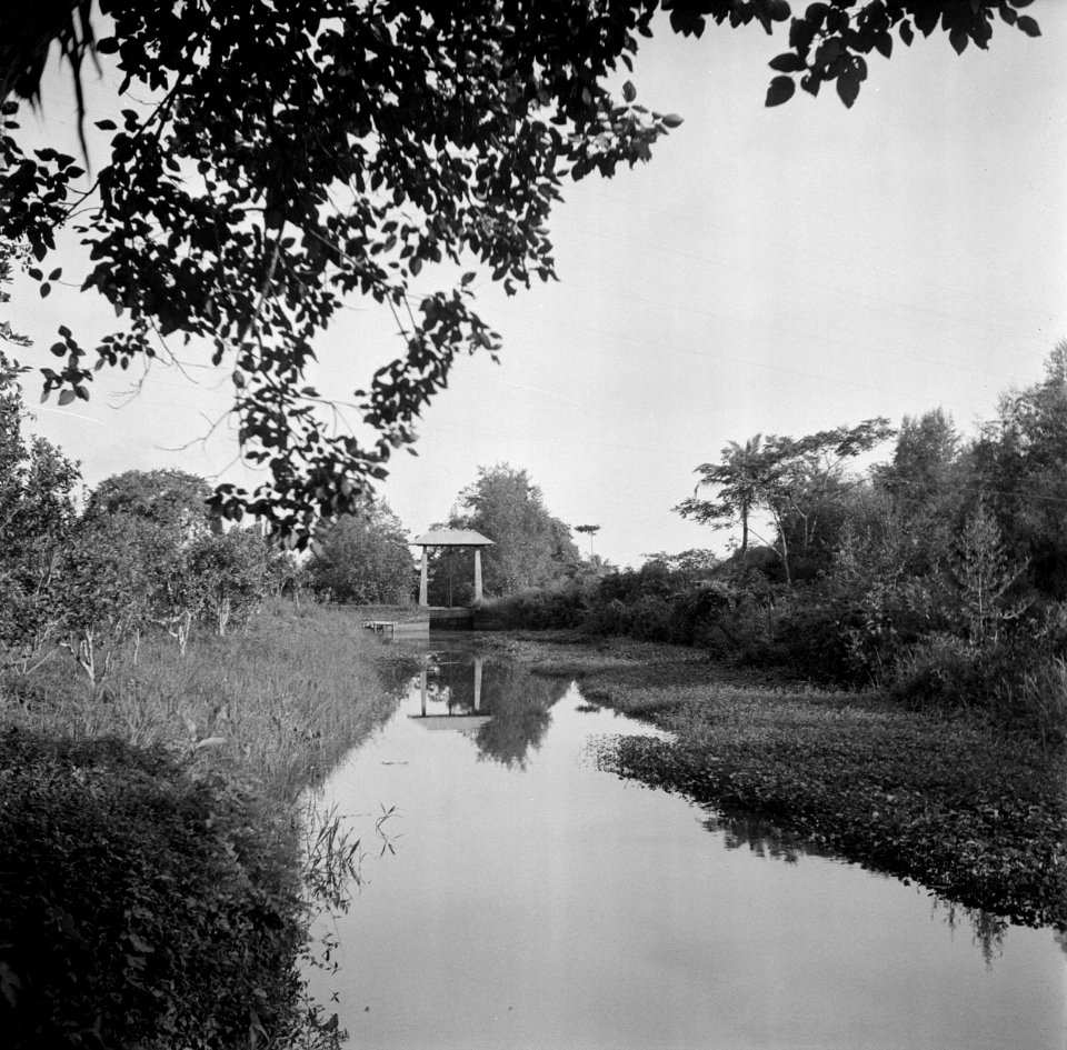 Sluis in Suriname, Bestanddeelnr 252-6489