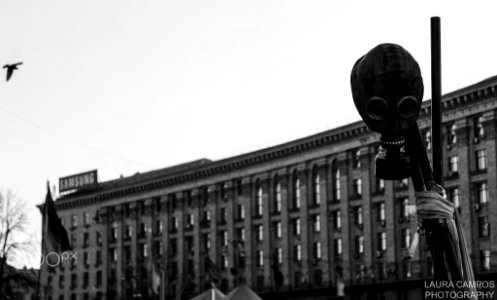 Slava Ukraine (192513851)