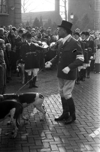 Slipjacht van St Hubertus (paardensport) in bossen Udenhout, honden voor begin , Bestanddeelnr 925-1623