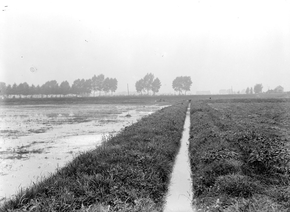 Sloten, fabrieken, Aardappelmeelfabriek Centrale, Bestanddeelnr 192-0485