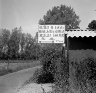 Slakkenfarm te Valkenburg, Bestanddeelnr 904-0075
