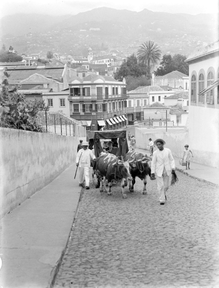 Slede in Funchal, Madeira In de slede van de Polls vrouw Nell Langlais, Bestanddeelnr 252-1549