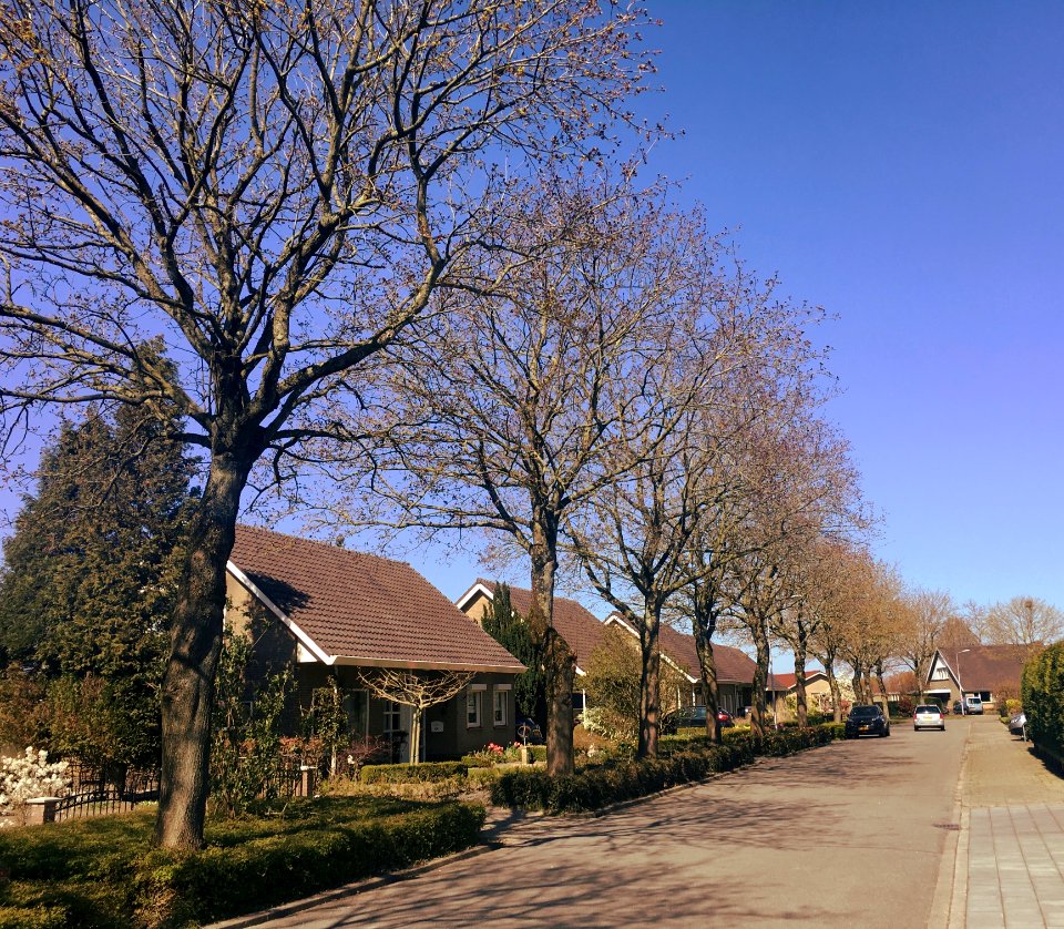 Slangenburgstraat, Doornenburg (Thornsburg)