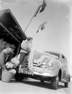 Slingers op auto bij bollenvelden, Bestanddeelnr 906-4022