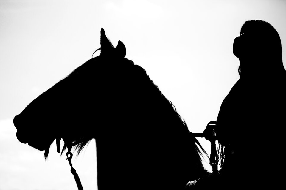 Show performance horseback riding
