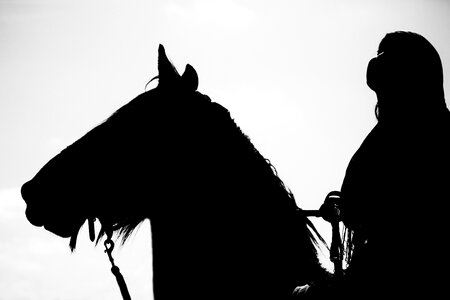 Show performance horseback riding
