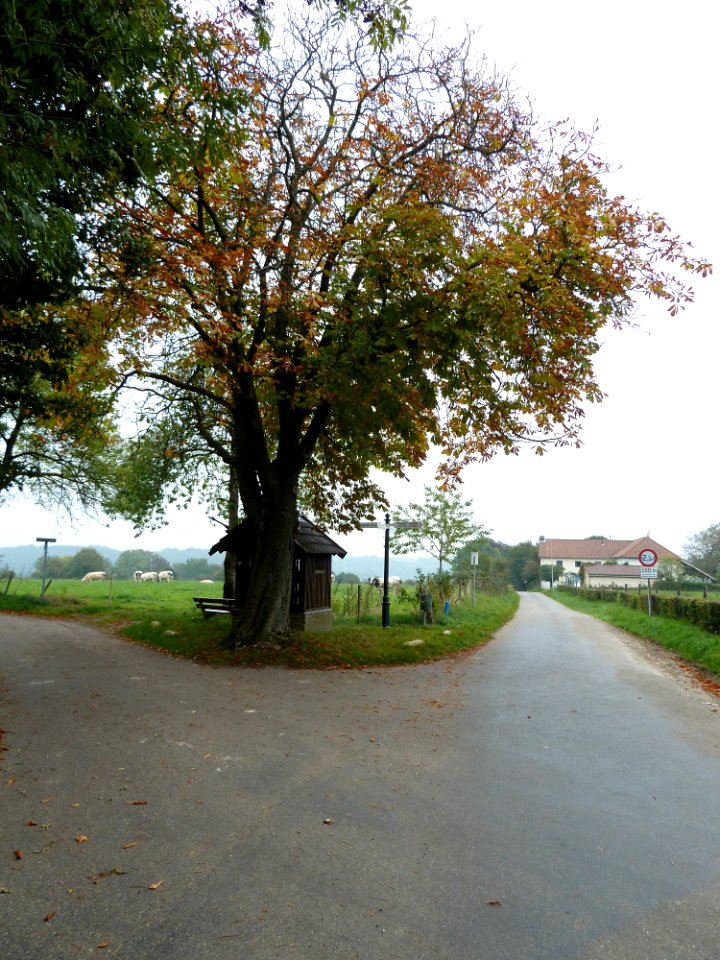 Slenaken-Schilberg-Waterput ter hoogte Maastrichterweg 5 (1)