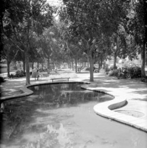 Slingerende vijver aan de Rothschild Boulevard, Bestanddeelnr 255-1756