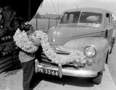 Slingers op auto bij bollenvelden, Bestanddeelnr 906-4023