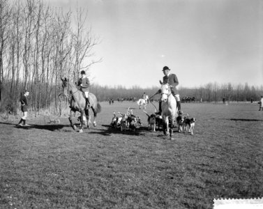 Slipjacht in het Amsterdamse bos, Bestanddeelnr 911-0688