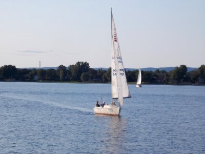 Sonar sailboat 3's Company 2536