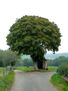 Slenaken-Schilberg-Sint-Annakapel (2)