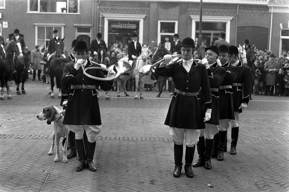 Slipjacht van St Hubertus (paardensport) in bossen Udenhout, honden voor begin , Bestanddeelnr 925-1629