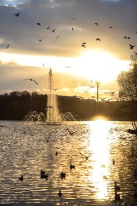 Sunset lake fountain