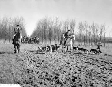 Slipjacht in het Amsterdamse bos, Bestanddeelnr 911-0689