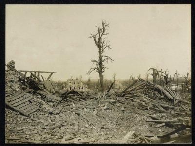 Some ruins in the village of Courcelette which was captured by the Canadians, Bestanddeelnr 158-1121