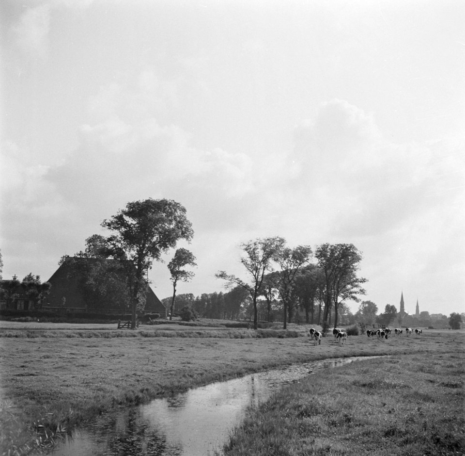 Sloot in een weiland met koeien bij een boerderij op de achtergrond een dorp, Bestanddeelnr 191-0655