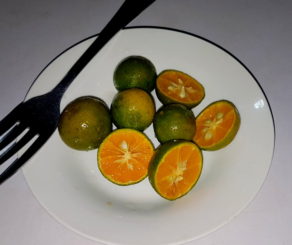 Sliced calamansi (Philippines) 2
